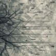 Emulation (CD Album)