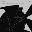 Squang Dangs In The Key Of Vibes (2xLP)