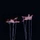 The Puppeteer / Emergency