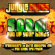 Put Up Your Hands (Freestylers & Run Tingz Cru Remixes)